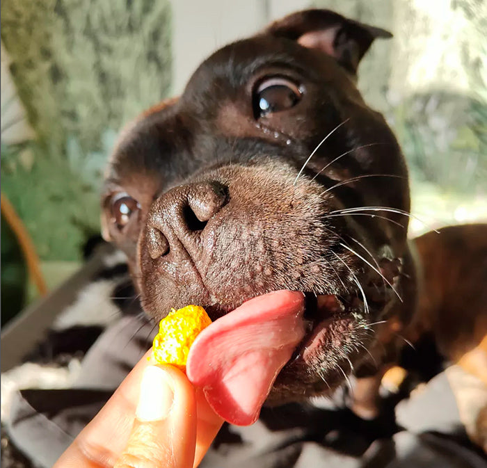 Halfie Happy Belly (digestion)