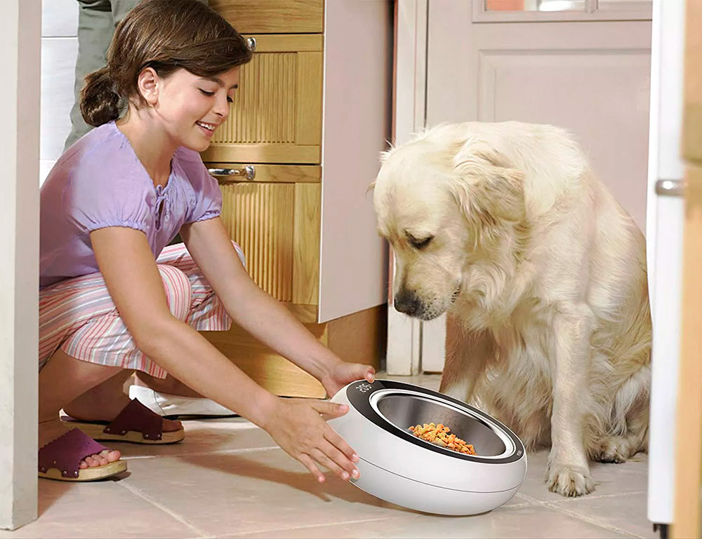 Petgeek Bowl Inteligente 2-1