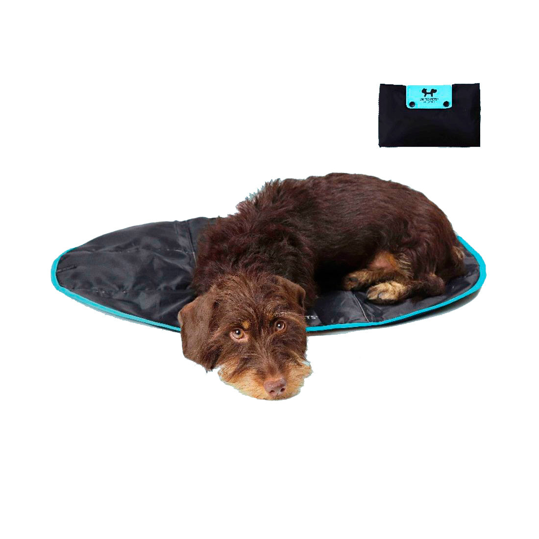Lazy Dog Mat cama viaje perro