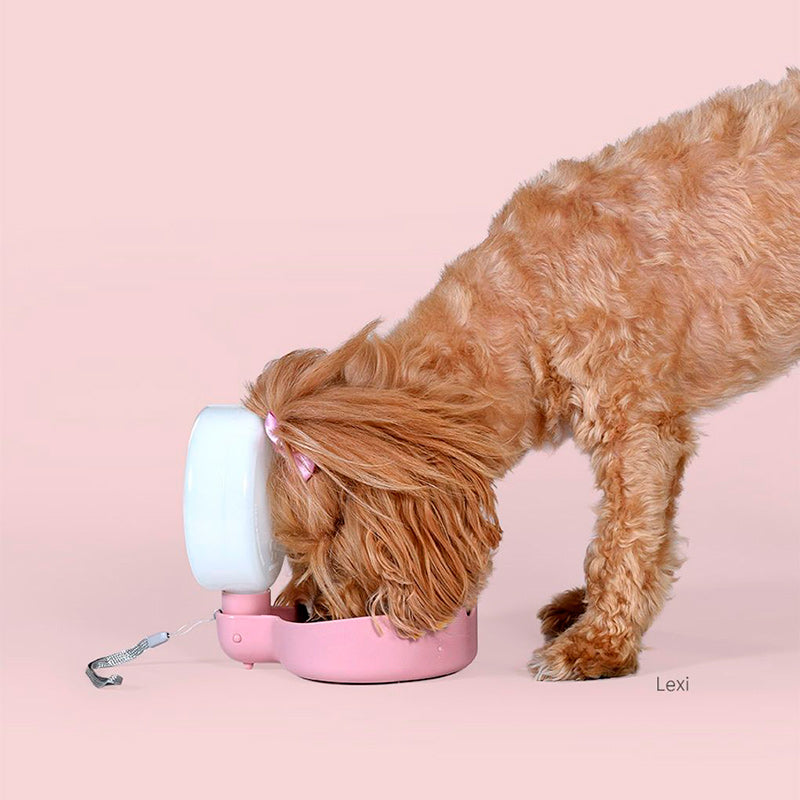 United Pets Pingui Travel Bowl Rosa