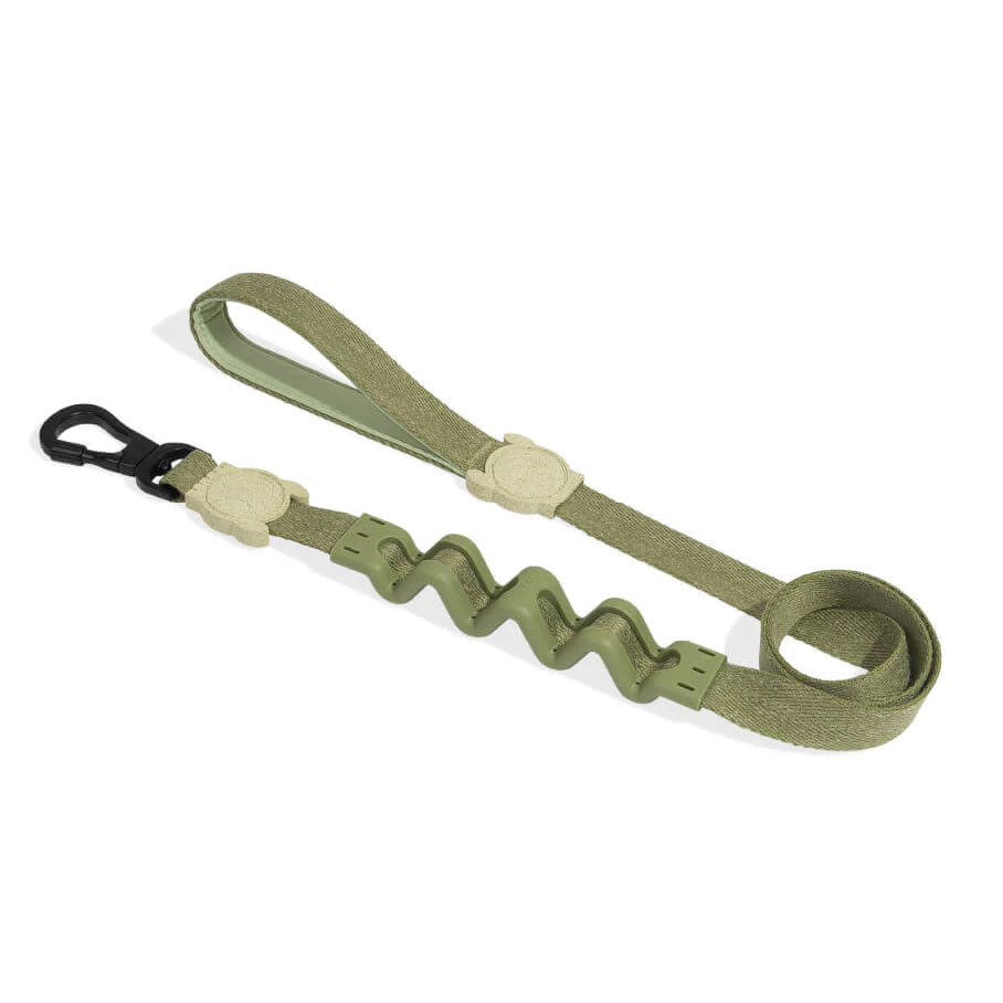 ZEEDOG Ruff Leash Moss
