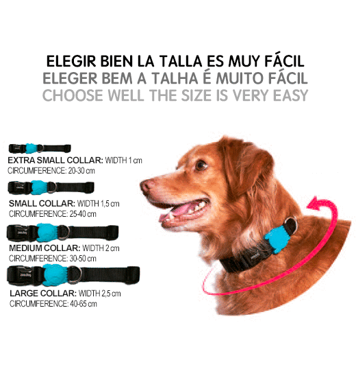 ZeeDog Collar Pink Led