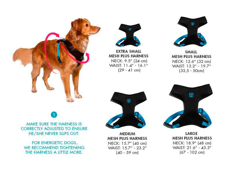 ZeeDog Candy Arnés para perro Ajustable Air Mesh