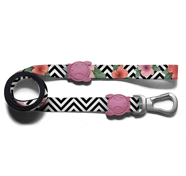 Zee.Dog Mahalo Leash