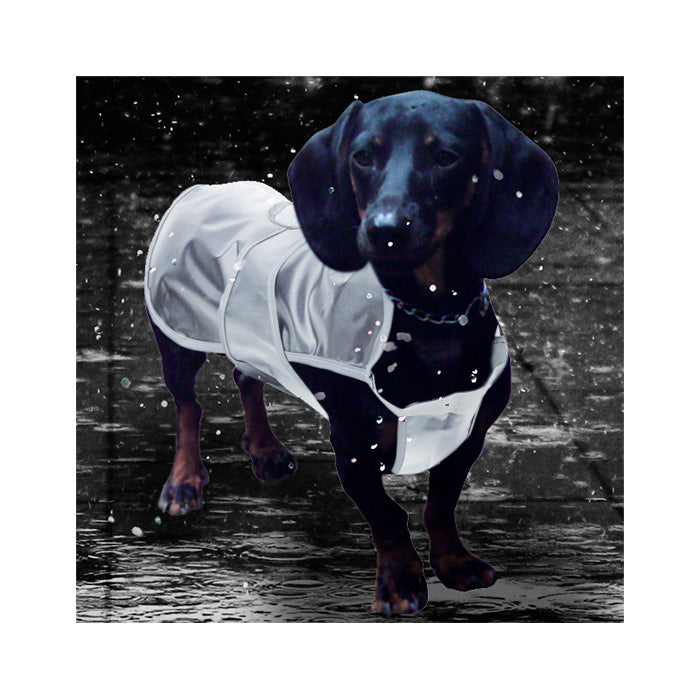 Chubasquero Transparente