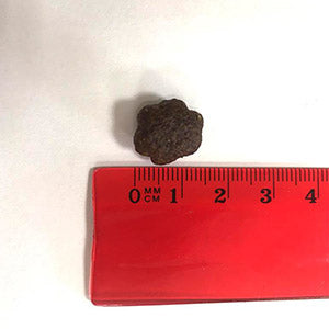 Natura Diet Chicken Vegs