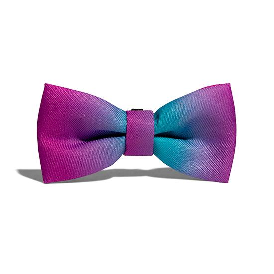 zee dog wave pajarita