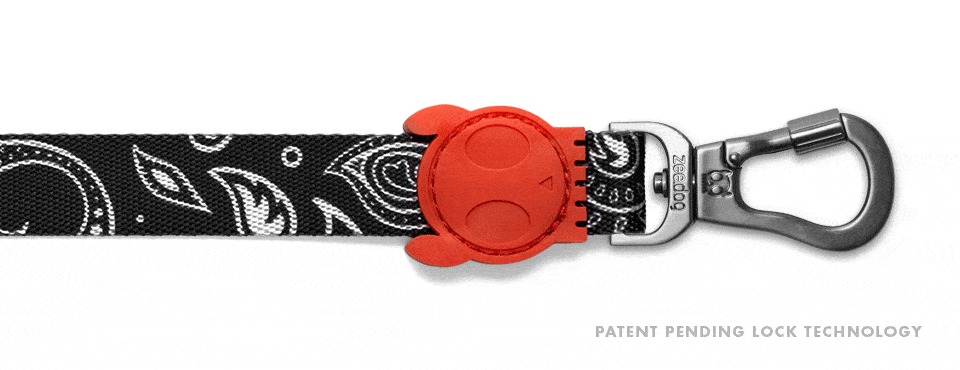 ZEE.DOG PAISLEY LEASH