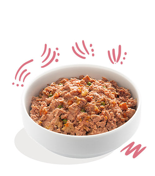 Edgard Cooper Fabulous Duck & Chicken