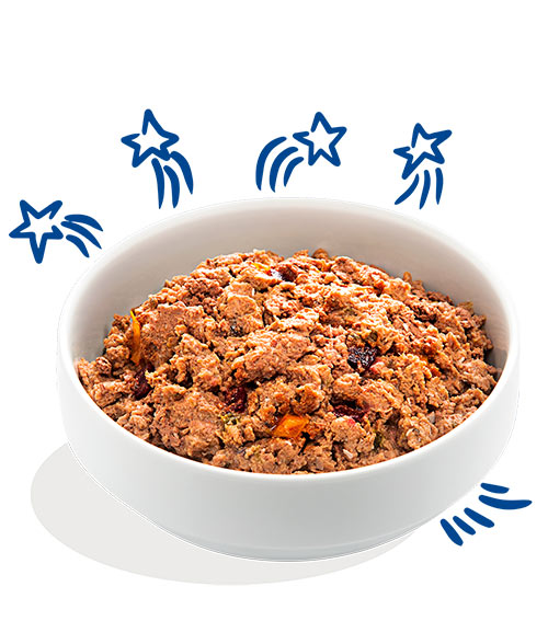 Edgard Cooper Yummy Salmon & Trout 400