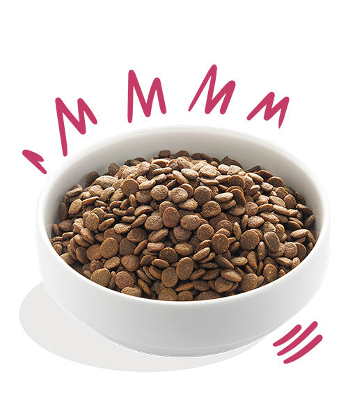 Edgard Cooper Venado