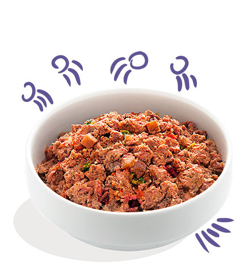 Edgard Cooper Ternera (Delightful Beef) perro