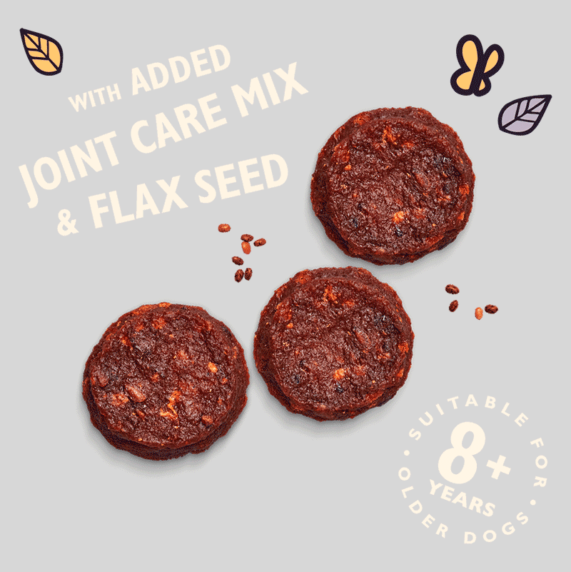 Lily´s Senior Turkey Bites