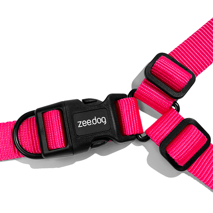 ZeeDog Pink Led Soft Walk