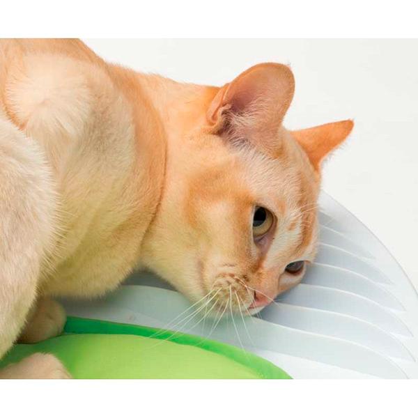 CATIT SENSES 2.0 WELLNESS CENTER