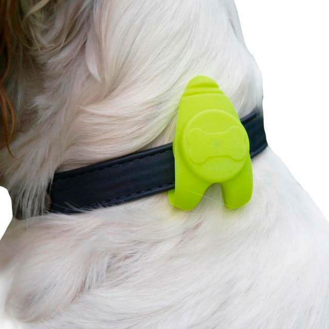 Rosewood Led Luminoso