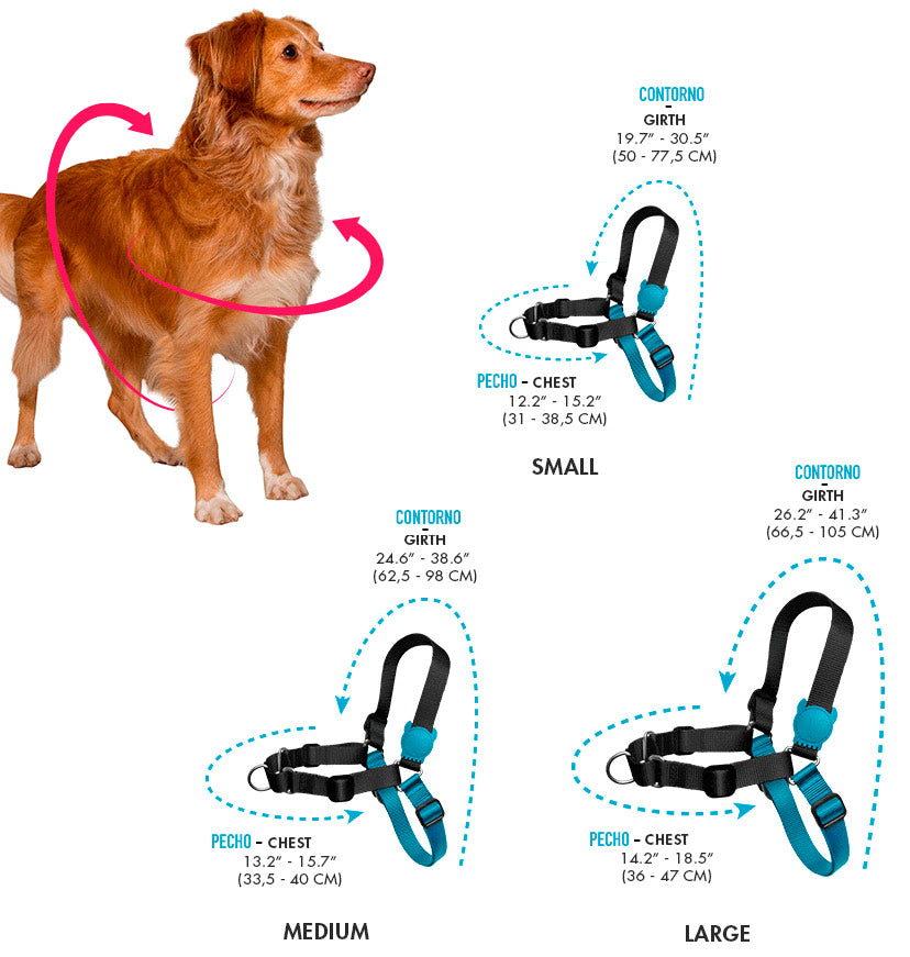 ZeeDog Boogie Soft Walk tallas
