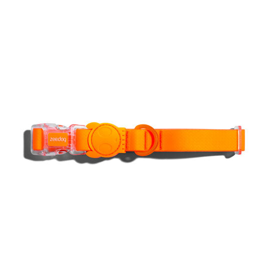neopro collar tangerine zeedog