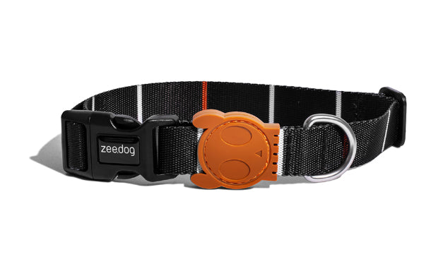 zeedog patagonia collar