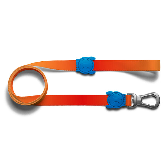 zeedog solaris leash correa perro
