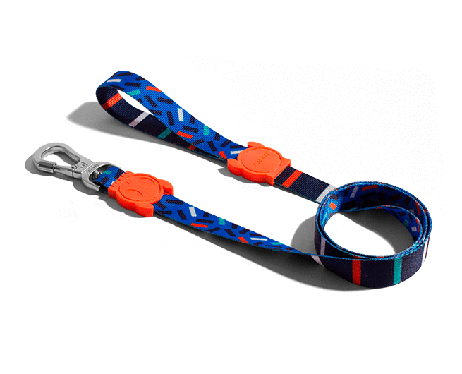 Zee.Dog Atlanta Correa