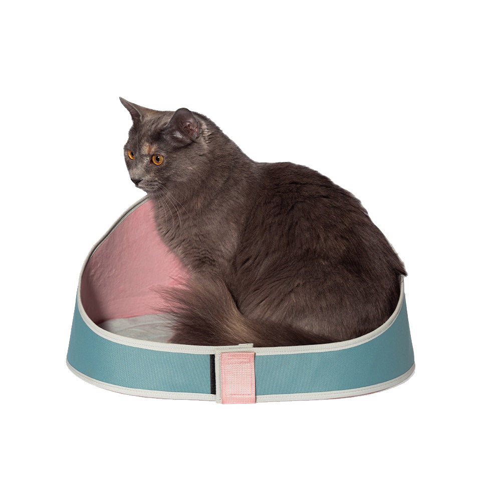 Zee.Cat Kombucha Cama