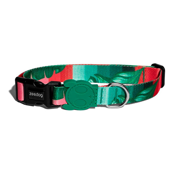 zeedog collar bali perro