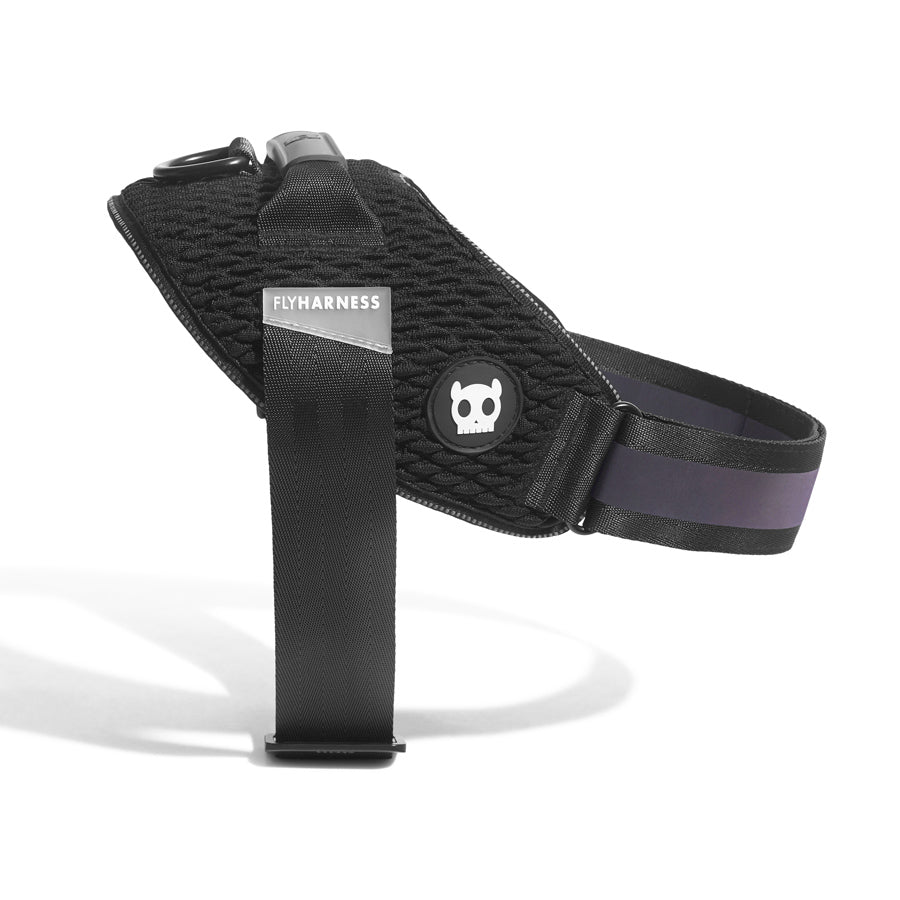 Zee.Dog Gotham FlyHarness