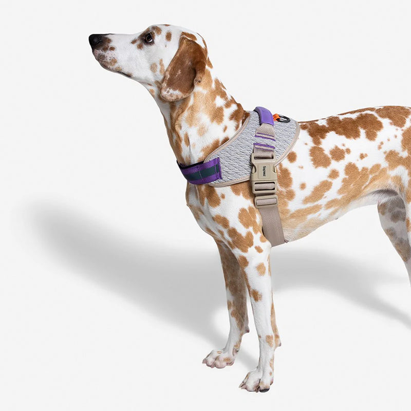 Zee.Dog AGC FlyHarness