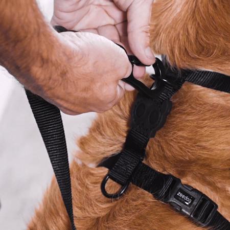 Zee.Dog Smash Harness