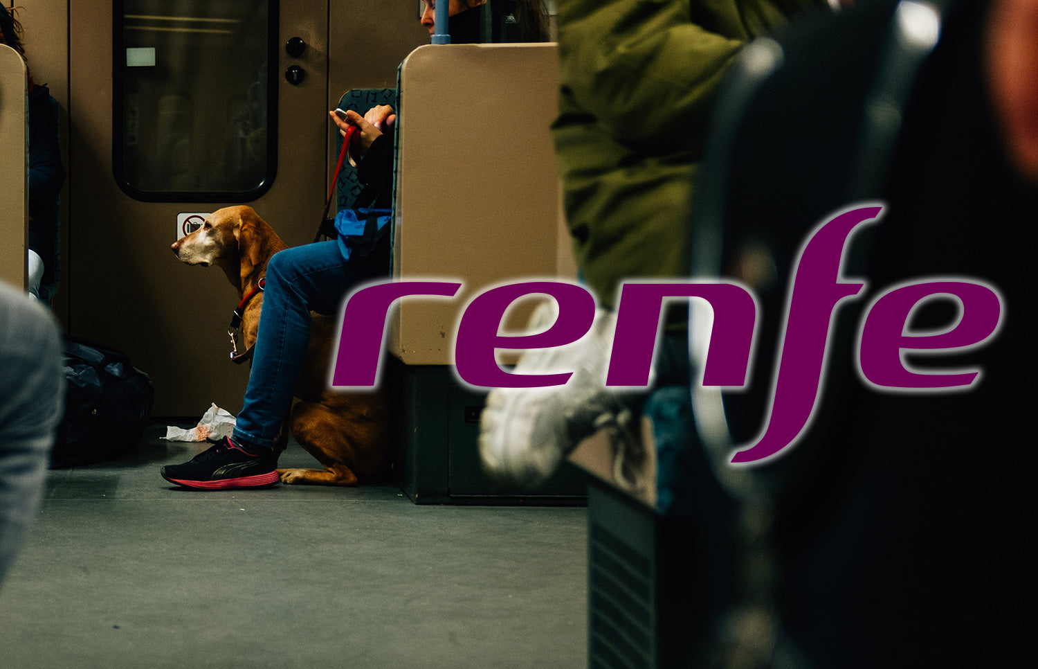 Cómo viajar en Renfe con mascota