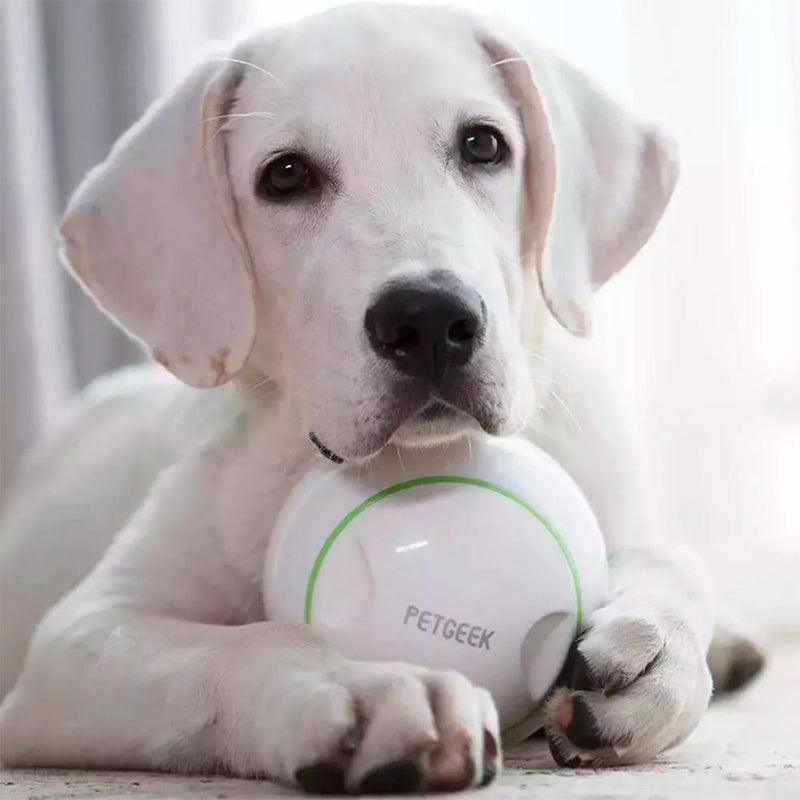  TVMALL Orbit Ball Juguete interactivo para perro, dispensador  de alimentos, alimentador grande y pequeño tamaño para gato, perro, juguete  de orbita, juguete interactivo, rompecabezas de entrenamiento, alimentador  para mejorar el coeficiente