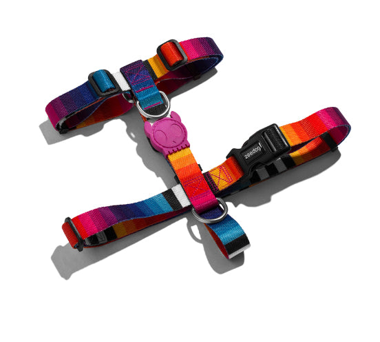 zeedog prisma arnes perro