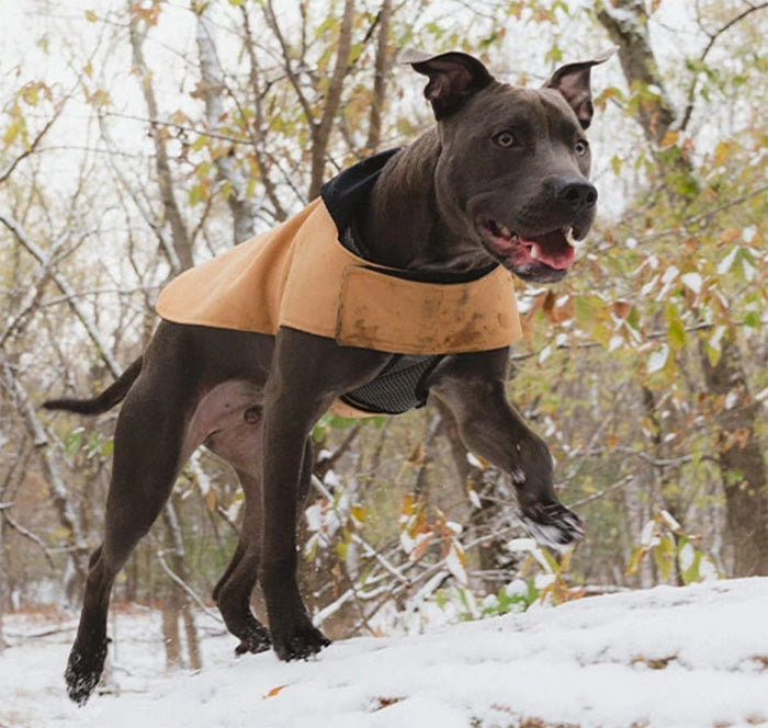 Zee.Dog Beige Coat